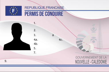 Le gouvernement, via sa direction des Infrastructures, de la topographie et des transports (DITTT), met en circulation un nouveau modèle de permis de conduire, conformément aux décisions du tribunal administratif et aux directives du président du gouvernement de la Nouvelle-Calédonie.