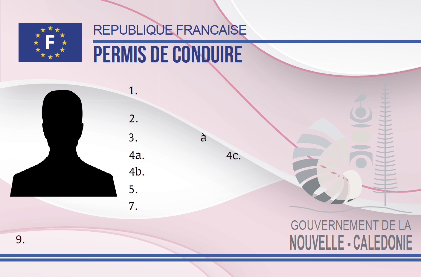 Permis de conduire
