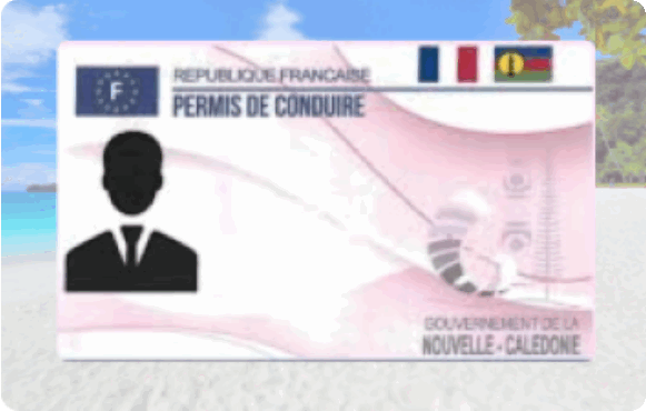 Permis de conduire